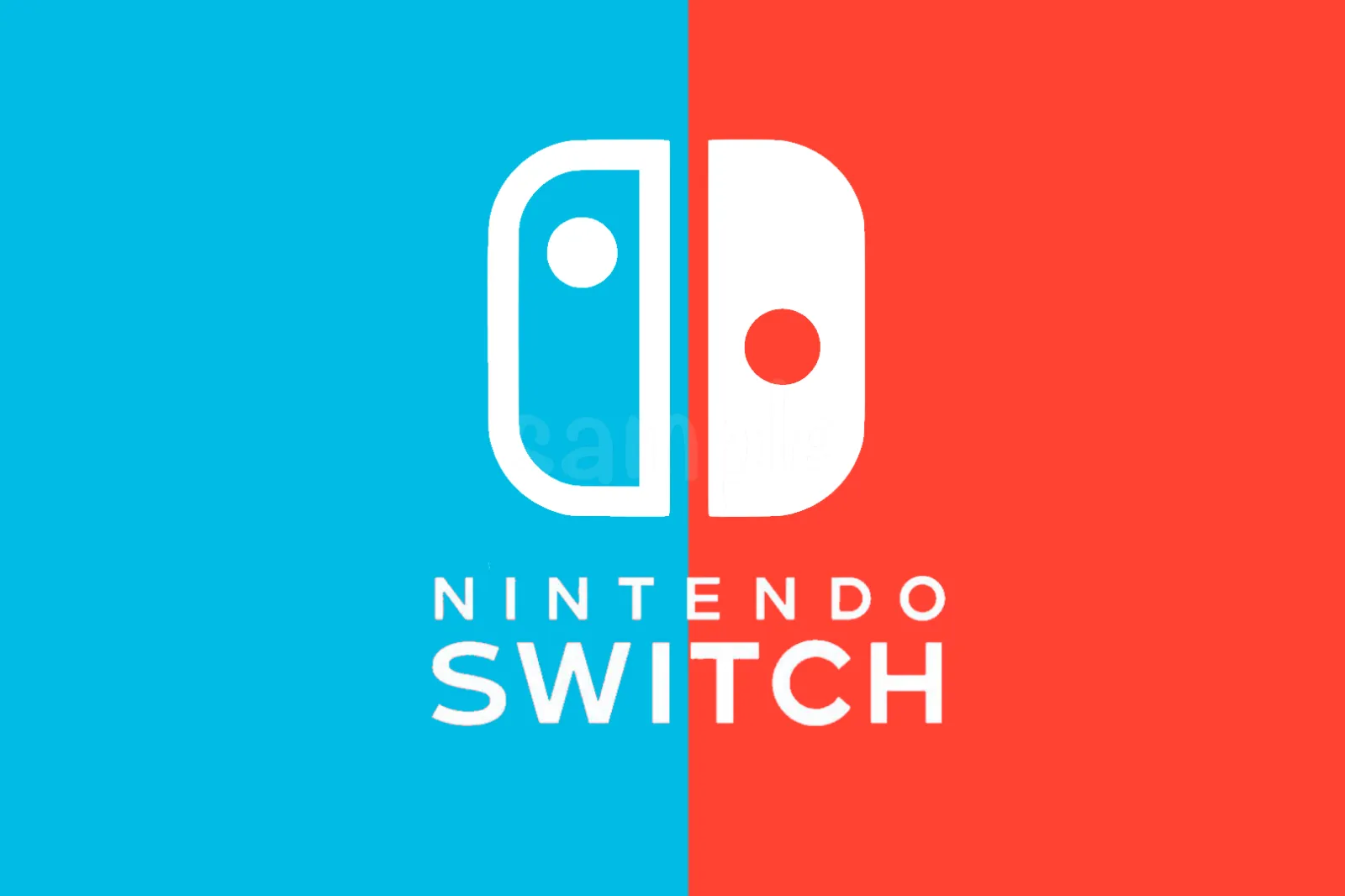 Nintendo